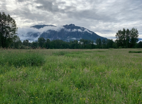 A landscape picture of Mt. Si in western Washington