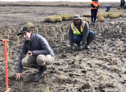 A young woman in muddy boots and a hat with the Service shield on it holds a small grass plant. She kneels in the mud of a marsh. Next to her a volunteer with a beard, brimmed hat, and safety vest, pats the dirt around a recently planted grass plug. 