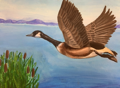 Jr. Duck Stamp entry 2022