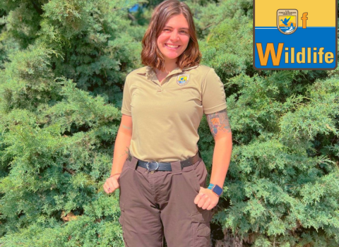 Kayla Feist stands in front of pine trees wearing a USFWS uniform. The WoW: Women of Wildlife logo is in the upper right hand corner of the photo. 