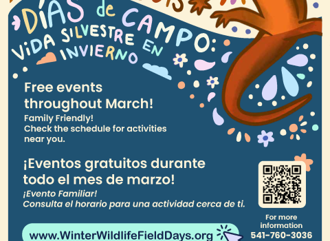 Winter Wildlife Field Days flyer with newt, partners and contact information