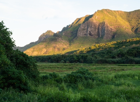 A glowing mountain at sunset sits behind a wetlands in shadow