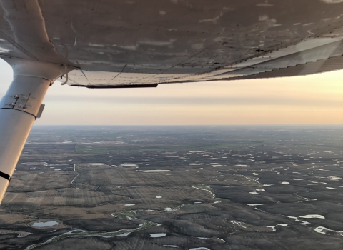 Aerial view of wetlands