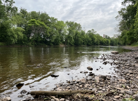 View looking downstream a flowing river from a rocky bank, with trees on the far side.