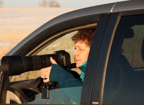 Employee photographing wildlife from vehicle