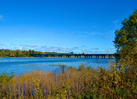 Landscape view of a bridge over a blue lake with surrounding vegetation on a clear day