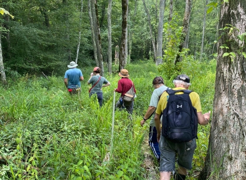 5 people hiking into a forest