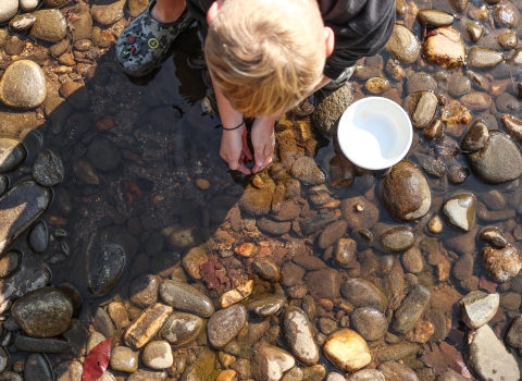 Person kneeling over a shallow pool, their hands in the water