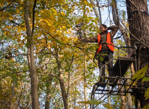 Female bow hunter in deer stand