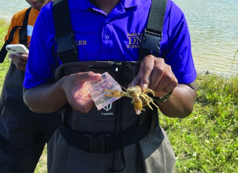 A young man in waders smiles and holds a crayfish in front of a shallow freshwater lake