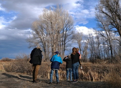 locals look for birds in the cottonwood trees in the distance with a cloudy, blue sky.