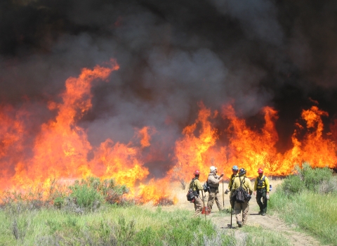 Five firefighters tend to a prescribed fire