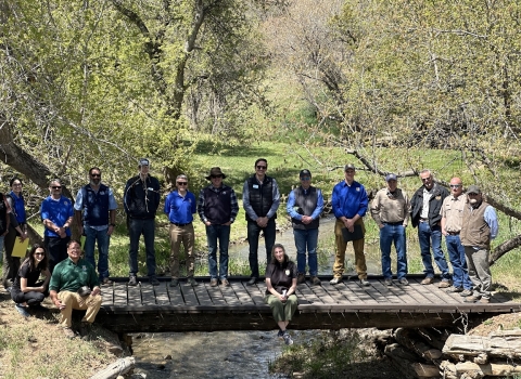 A group of Wildlife Professionals standing on a bridge over the Cherry Creek Fish Passage Site.