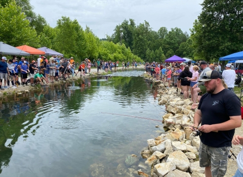 People fishing banks of stream