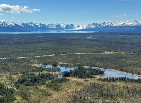 aerial view of wetlands and forest with mountains in the background