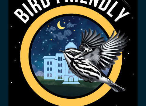 Bird friendly campus sign