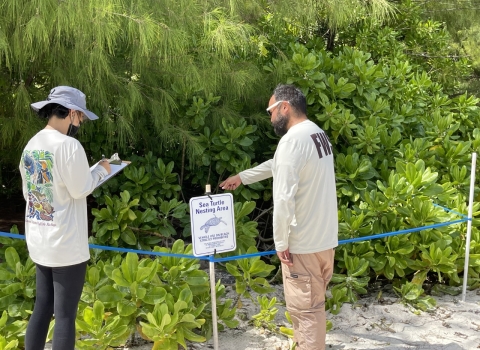 Volunteers from the Guam National Wildlife Refuge section off sea turtle nesting areas along the beach