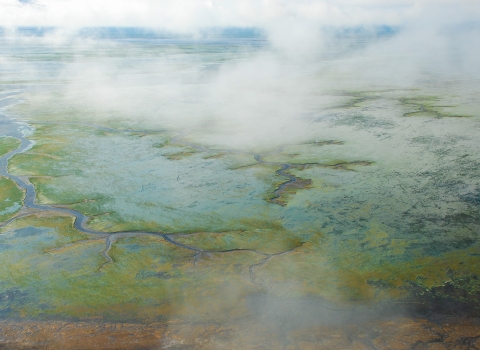 aerial view of tidal wetlands