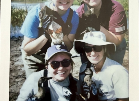 polaroid picture of 4 biologists holding ducks