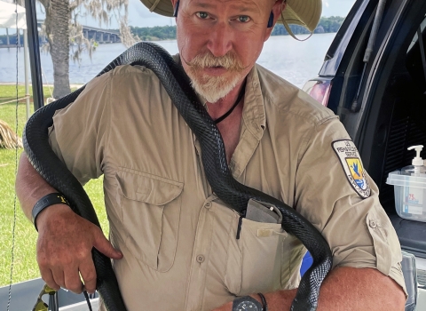 Tony Brady poses with an eastern indigo snake wrapped around his neck and waist. Brady is the deputy project leader at USFWS’ Welaka National Fish Hatchery, where they have been caring for the snakes since 2018.