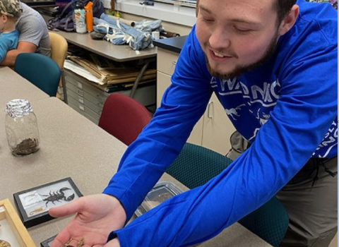 Man holding an insect