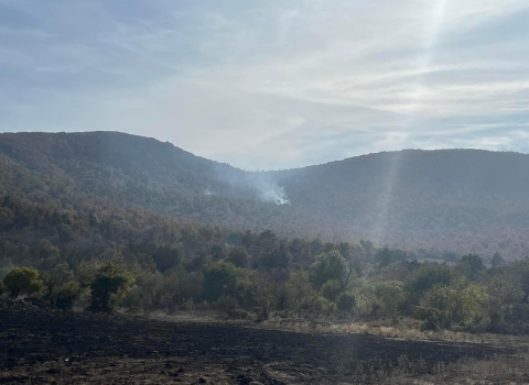 An arid lansdcape of hills covered with juniper and burn scars, with a large smoke from a wildfire visible in the center