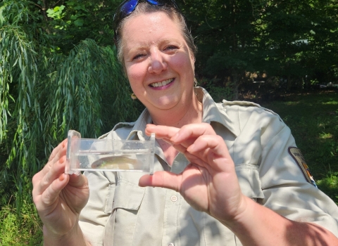 USFWS Biologist Melissa Briggs holding a small clear water dish with an adult Barrens Topminnow