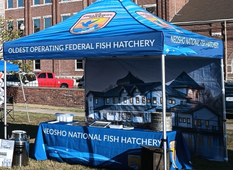 outdoor display tent with matching table cloth for the hatchery