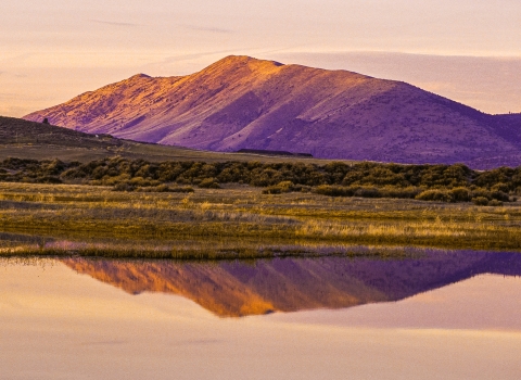 A mountain with grasslands and a wetland at Lower Klamath National Wildlife Refuge during sunset