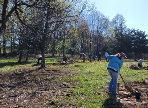 volunteers plant native shrubs