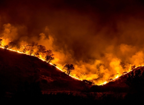 A fire burning across a forest landscape