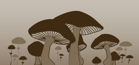 Illustration representing species of the family fungi